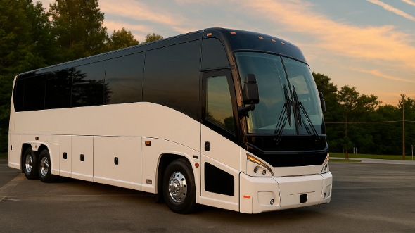 naperville bachelor and bachelorette party bus rentals