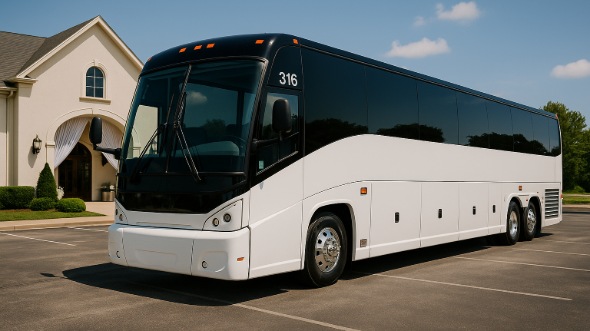 naperville birthday sweet 16 party bus rentals